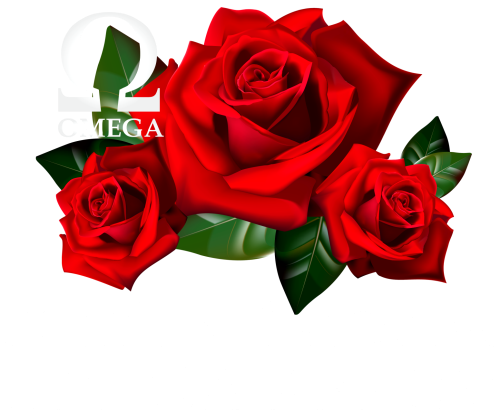 Pohřební služba OMEGA | Krnov